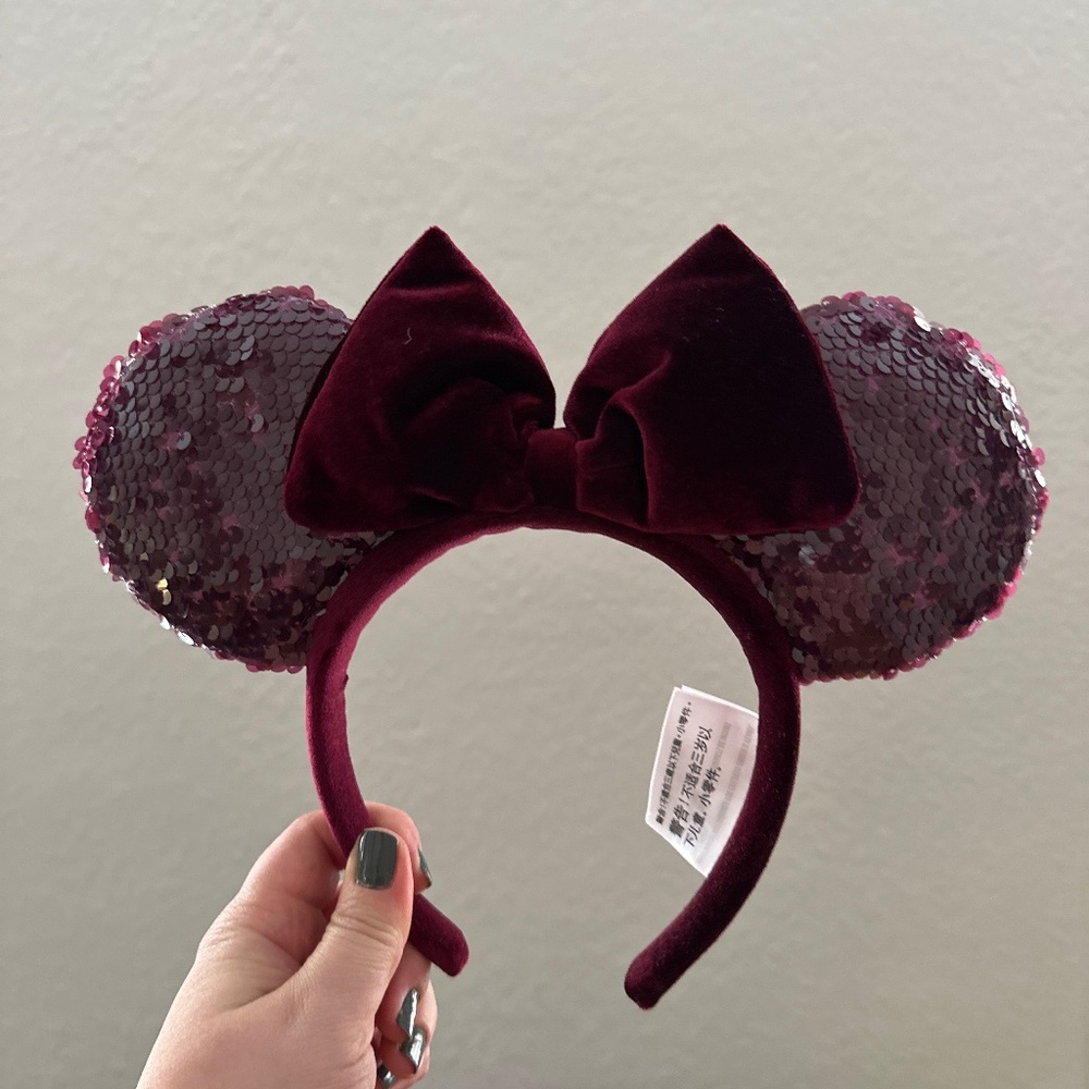 Disney Ears Fall Bundle